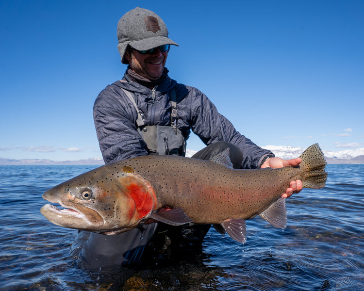 Pyramid Lake, The Coast, and Plumas County