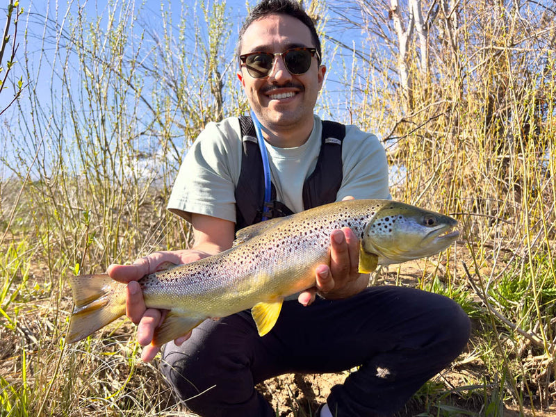 Feather River Fly Fishing and Lake Almanor Fishing Report