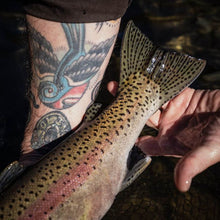 Trinity River Guided Fly Fishing Trips