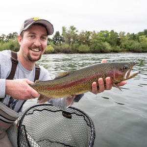 Lower Sacramento River Guided Fly Fishing Trip
