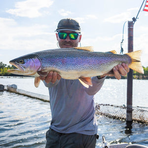 Lower Sacramento River Guided Fly Fishing Trip