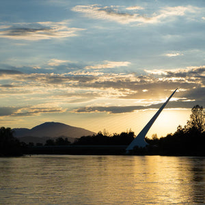 Lower Sacramento River Guided Fly Fishing Trip