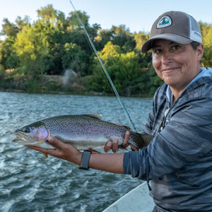 Lower Sacramento River Guided Fly Fishing Trip